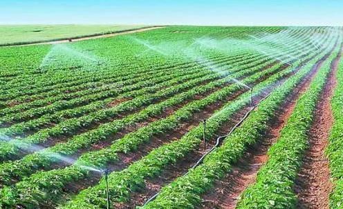 无毛嫩屄农田高 效节水灌溉